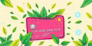 Adiós Plástico: Deshazte de las Tarjetas de Crédito Inteligentemente